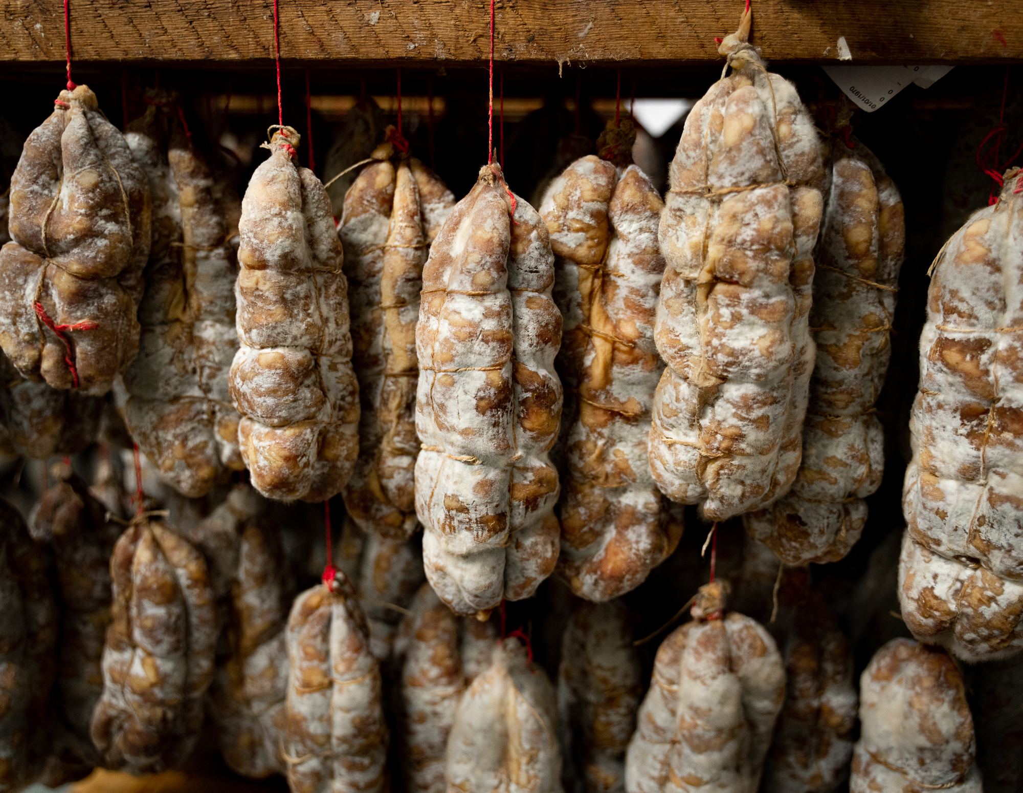 Cochon Angélique Burtin boucherie Guillemot